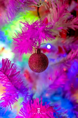 25122025-23.jpg