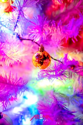 25122025-12.jpg