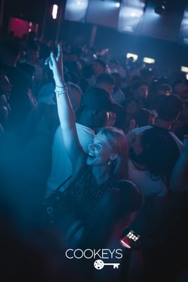 dominikkristen-240.jpg